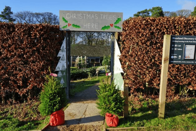 Longshaw has been selling Christmas trees for decades.