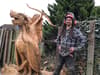 Sheffield chainsaw sculptor Alex Vardy-Meers carving tree stumps into incredible art
