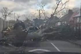 Picture shows a tree blown down at Southey Green, Sheffield. Submitted picture