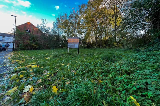 The listed plot of land on Daniel Hill Street, where the long grass, shrubbery and trees are said to have become home of lots of wildlife. (Photo courtesy of Dean Atkins)