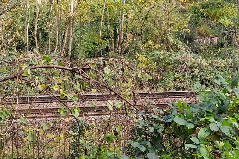 The valley is split in two by the train tracks built in 1840 as part of Brunel’s Great Western Railway.