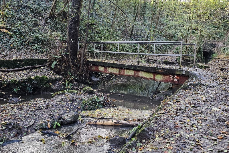 Multiple picturesque bridges can be found in the woods, overlooking Brislington Brook.