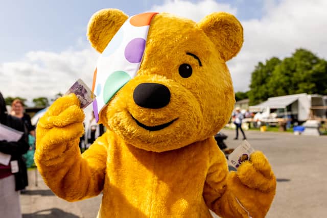 Children in Need fundraisers have taken part in all sorts of campaigns