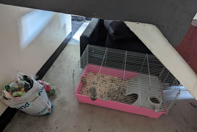 The RSPCA is sharing this photo of the guinea pigs' cage under the stairwell in Stradbroke Road in the hopes someone will recognise it.