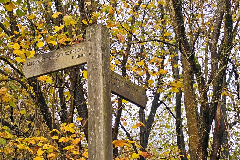 The nature reserve has multiple entrances and connects to Kingswood through the main path. The main path also connects to the orchard with some Centurian trees.