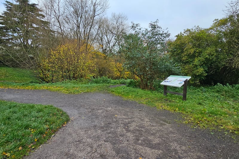 The main path throughout the nature reserve is made out of concrete and gravel, is generally accessible, and runs from the north to the south of Magpie Bottom and links Kingswood to the River Avon.
