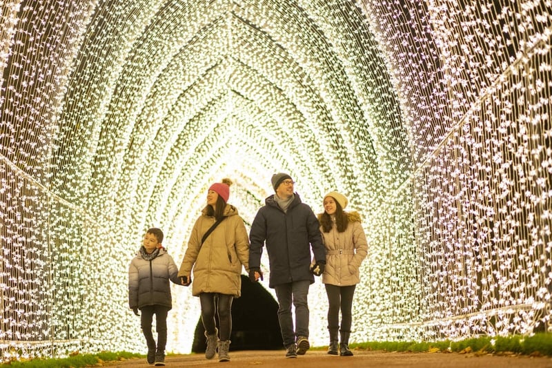 The Royal Botanic Garden in Edinburgh features a magical botanical-themed light trail.