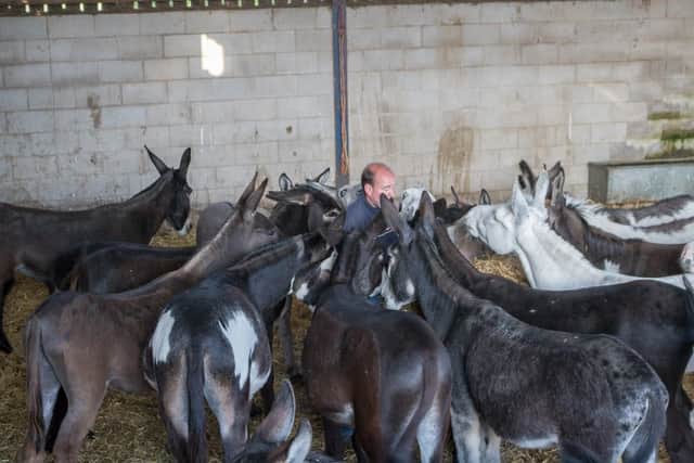 Mark Ineson says his donkey rides run by the rules of no one over eight stone, no one over the age of 14, and rides will not be allowed if the operators "feel it won't be good for the donkeys".