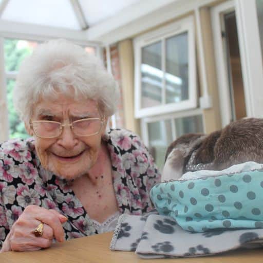 Edith with a pet therapy rabbit.
