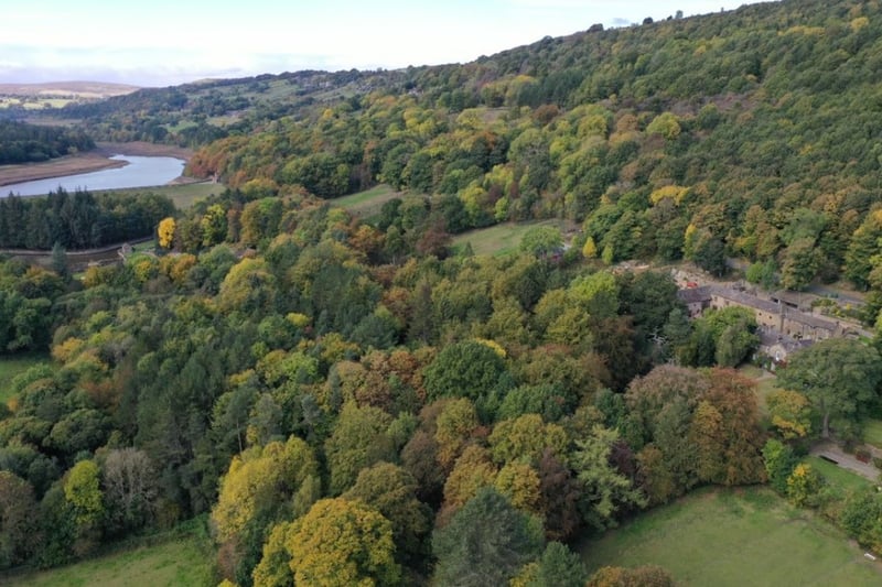 The woodland surrounding the property is vast. More Hall reservoir is a short walk away from the house.