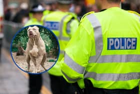 A 27-year-old was arrested on suspicion of animal cruelty and child neglect. He has since been released on police bail