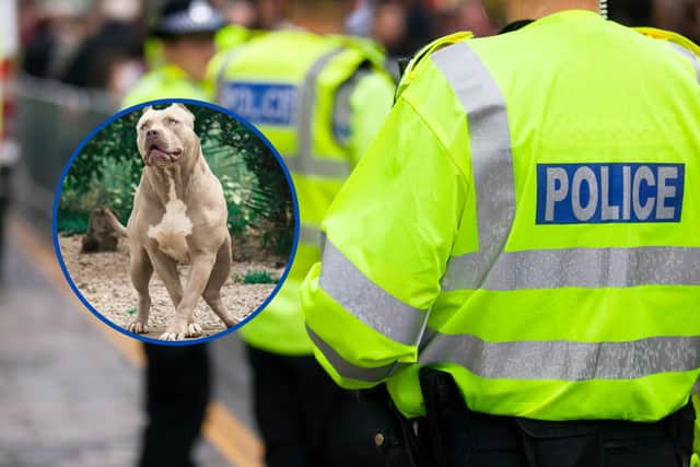 A 27-year-old was arrested on suspicion of animal cruelty and child neglect. He has since been released on police bail while the force's investigation continues