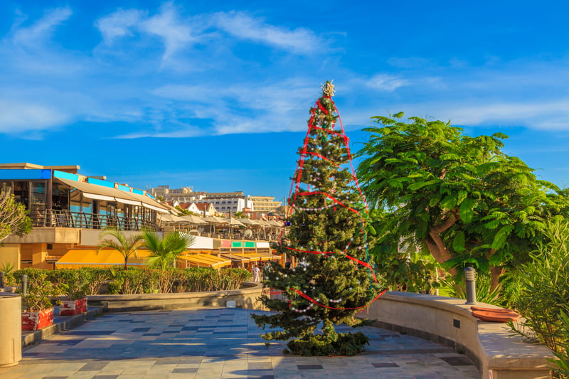 Spain's party island is a surprisingly good place to visit in the winter. The Carnival of Santa Cruz de Tenerife was mentioned as particular highlight in February