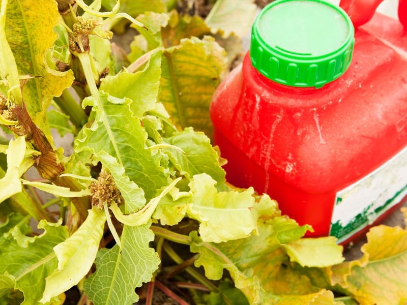 Your garden may well be looking a little ragged, but there's no need for your nearest and dearest to point it out via the medium of gift giving.