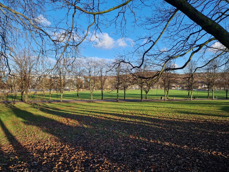Picture shows Hillsborough Park as it is today, four months on from Tramlines. Picture: David Kessen, National World