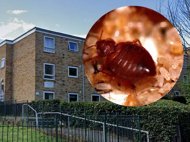 Ernest Copley House in High Green, Sheffield, is being treated for bed bugs after the insects were found there