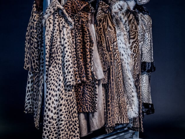 These coats, made from the skins of some of the most endangered big cats, were confiscated by European customs officers and held for forensic tests before being used for educational events.