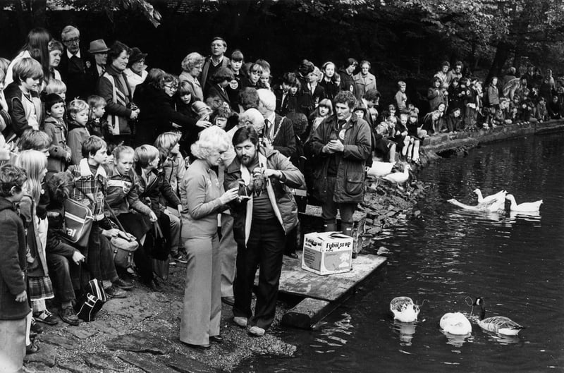 Junior Star duck launch at Endcliffe Park in October 1980