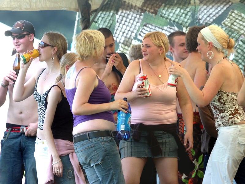 Revellers at the Peace in the Park festival at Endcliffe Park, Sheffield, in 2007
