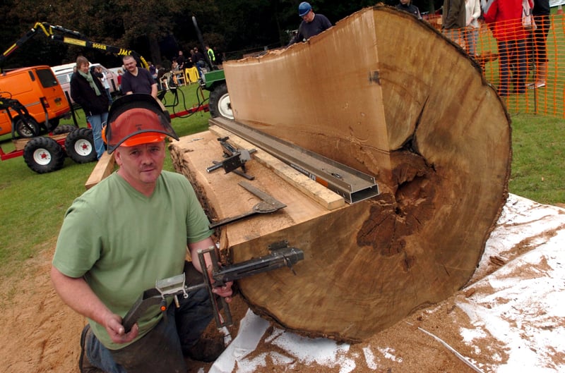 Steve Booler works on a sweet chestnut tree trunk during the Wood Fair at Endcliffe Park in October  2007