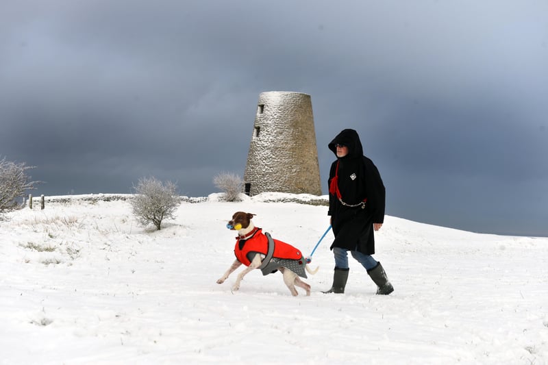 It wasn't just the dog owners who had donned their winter coats.