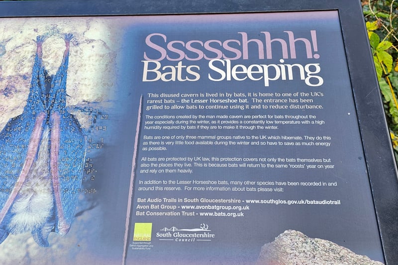 There is an information board next to the bat cave including information about bats and their hibernation, why this cavern is used as their home and links for more information about the bats and bat trails.
