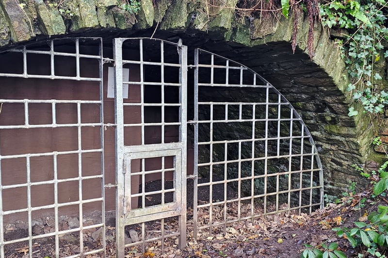 The disused cavern has been a home for bats including one of the rarest bats in the UK: the Lesser Horseshoe Bat. The entrance has been grilled to allow bats to continue using it and to reduce disturbance. The cave is signposted up a sloping path just across from where visitors can catch the ferry to Beese’s.
