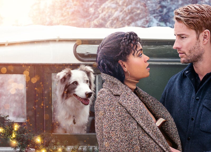 When cleaning out his childhood home during the festive period, an author meets a woman searching for her birth mother. They fall in love and it will make you love Christmas. See the pattern? Don't cry. It is only a film.
