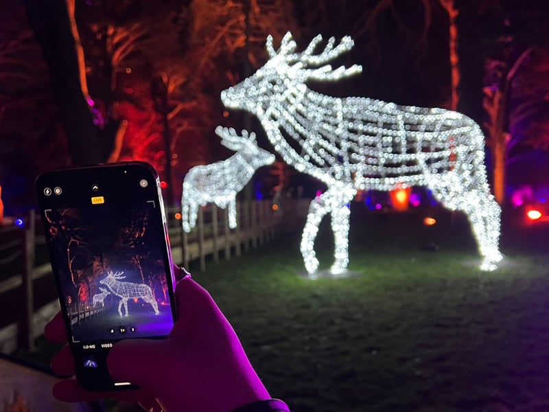 The lights were a hit with Nottingham's #influencer crowd! 