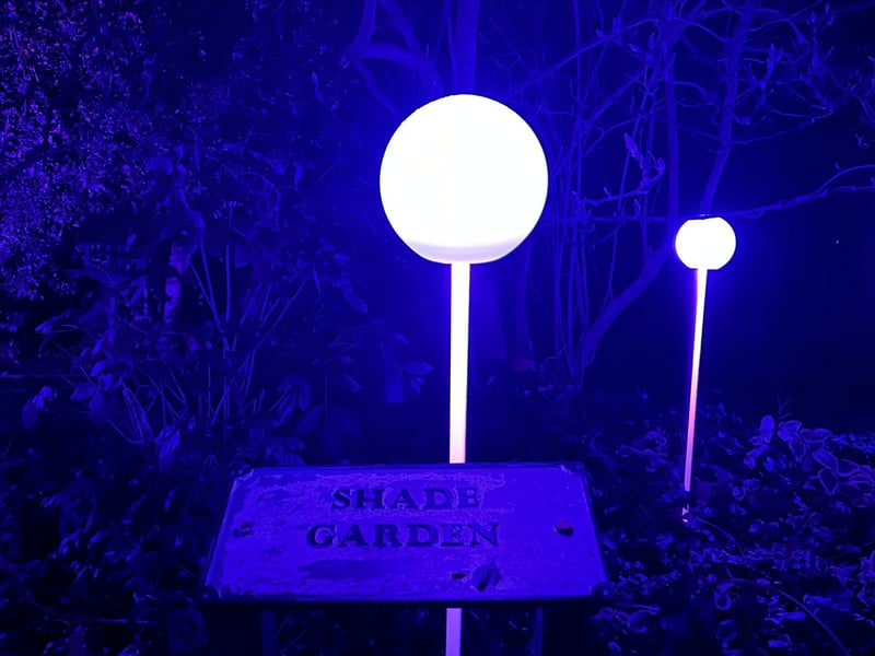 The Shade Garden was serving some seriously magical night-light vibes 