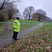 Police at the scene of a murder investigation at Leighton Road, Gleadless, Sheffield. Picture: David Kessen, National World