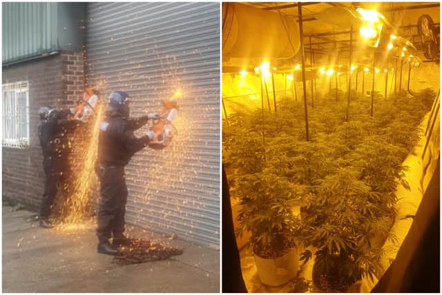 Dramatic photos show officers cutting through the shutters of an industrial unit in Darnall, Sheffield, in a raid on a cannabis factory inside.