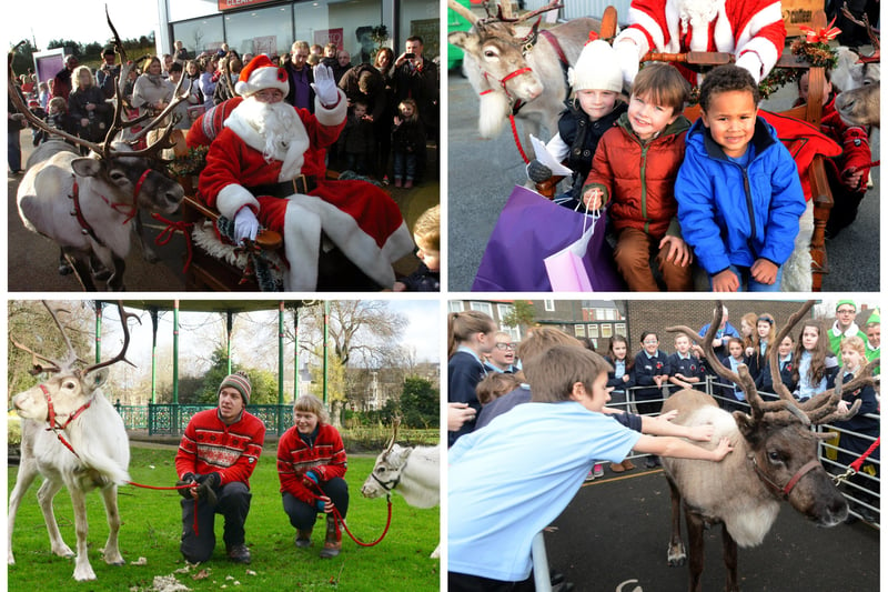 Jingling back to these reindeer scenes from Mowbray Park, Dalton Park, Cold Heseldon and Fawcett Street.