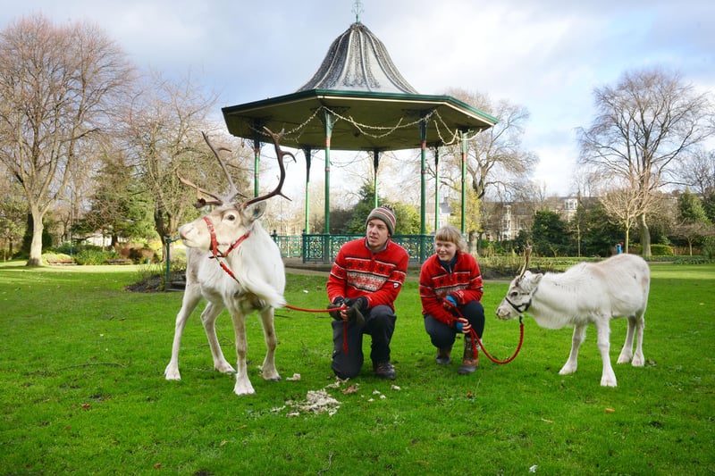 Reindeer handlers Abby Saunders and Ryan Lord with Byron and Hornet in Mowbray Park.
Tell us if you got to see them in 2014.