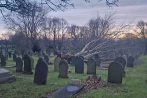 A tree in City Road Cemetery, Sheffield, was also among those brought down by the fierce winds during Storm Elin