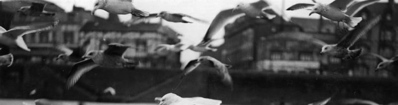 17th January 1934:  A member of the Blackpool lifeboat crew takes it upon himself to feed the local seagulls during the winter months.  (Photo by Fox Photos/Getty Images)