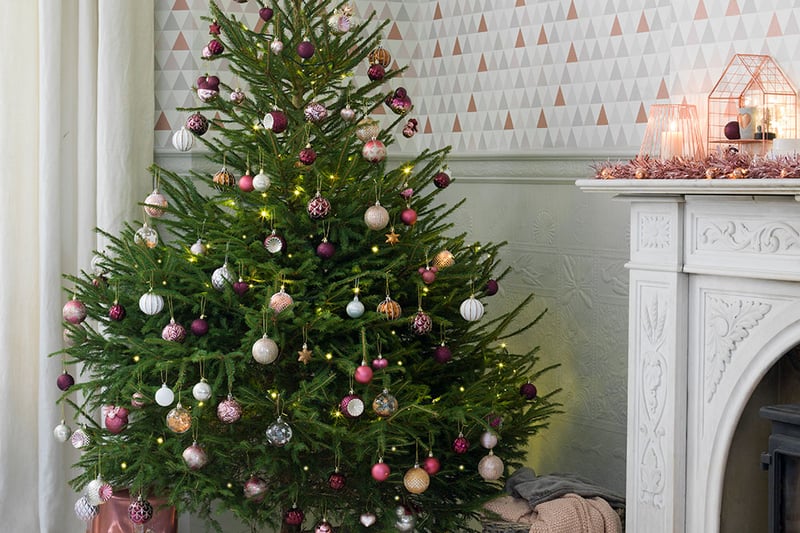 Real Christmas Trees Glasgow can be found in Bishopbriggs who have a great selection of real trees including Nordmann Fir, Fraser Fir, Potted Nordmann fir which are all sourced in Scotland. They also offer a great delivery service which means your tree will be delivered straight to your door. 