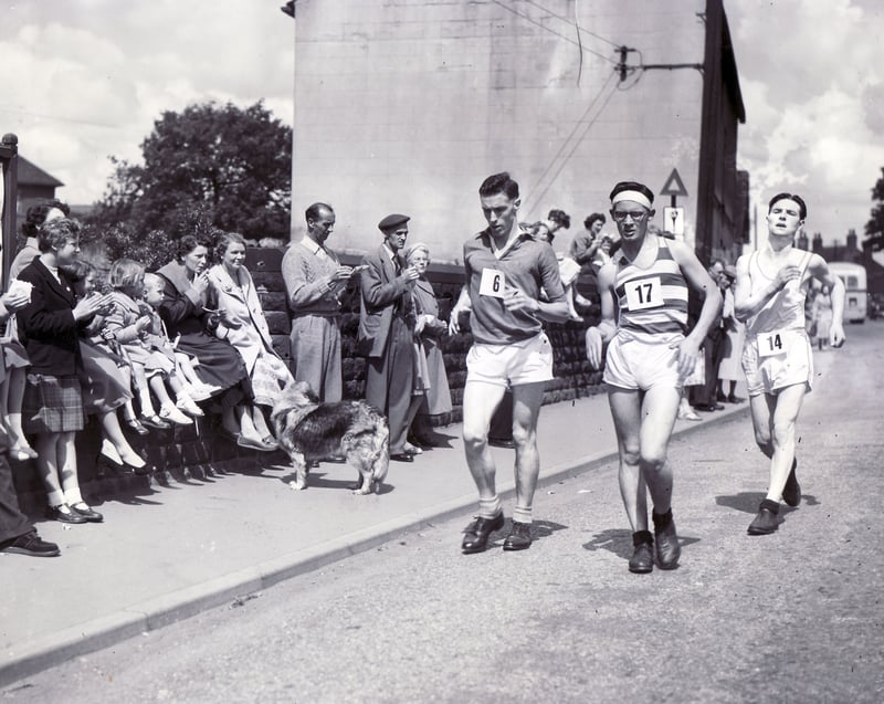 Pictured in Ecclesfield taking part in the Star Walk in 1957 are No 6. J. Eddershaw, No.17 P Burrows and No. 14, F. Winter - the eventual winner