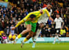 Bloodied Sheffield Wednesday back down to earth with a bump in Norwich City defeat