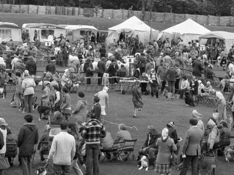 Stanley Park hosted one of Britain's biggest dog show in 1980s. More than 8,000 animals, some from overseas, competed for top titles 
