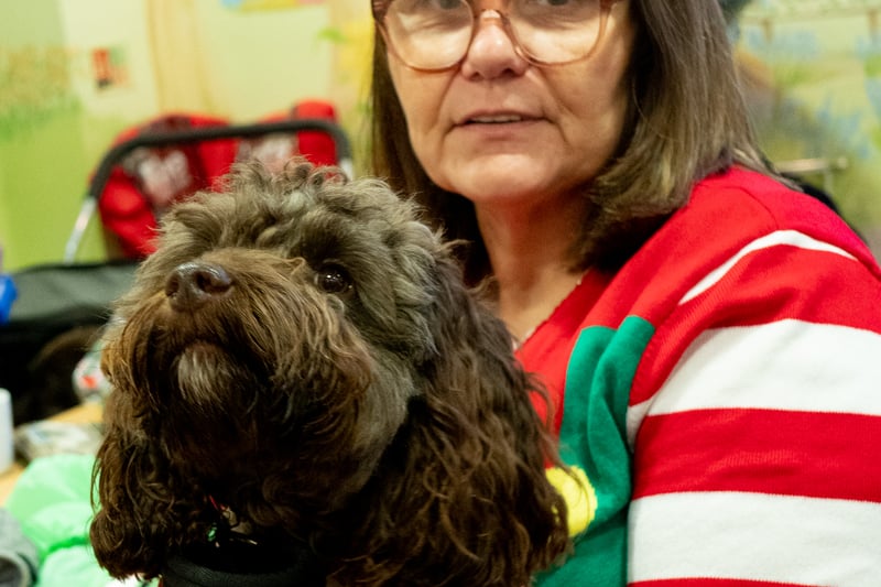 Festive pooches dressed up at Stanley Park Dog Club Christmas Party. Photo credit: Elizabeth Gomm