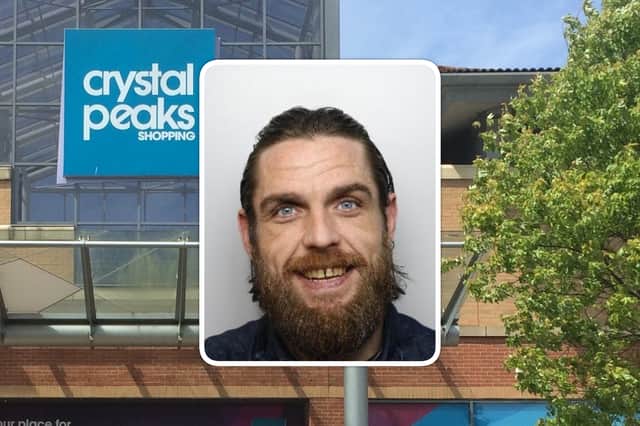 Glynn Platts, from Waterthorpe, pleaded guilty to 20 theft offences committed at Crystal Peaks shopping centre and Drakehouse Retail Park in Sheffield.