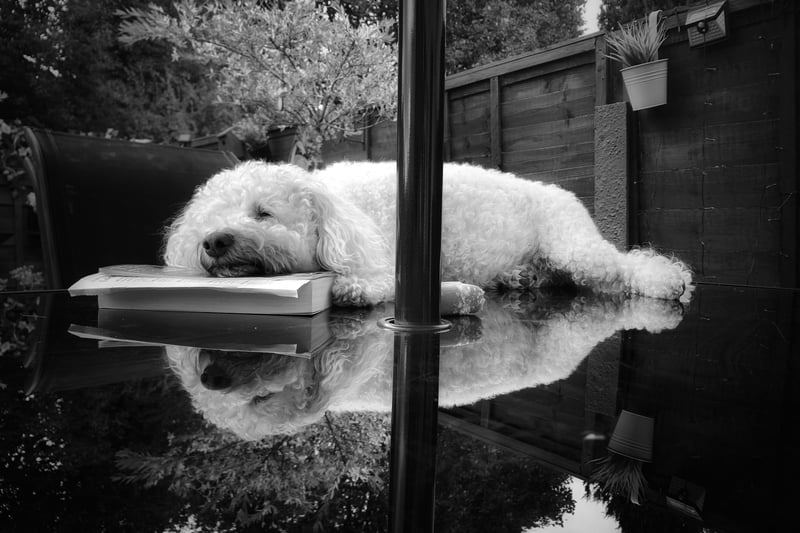 Sleepy reflections by Amy Wrigley was commended in the 16-18 Mobile category.