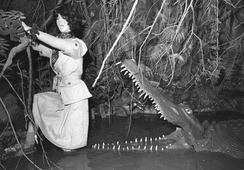 Tussauds Waxworks, March 1975. What was this about? the caption says 'The girl slips and the croc moves in'