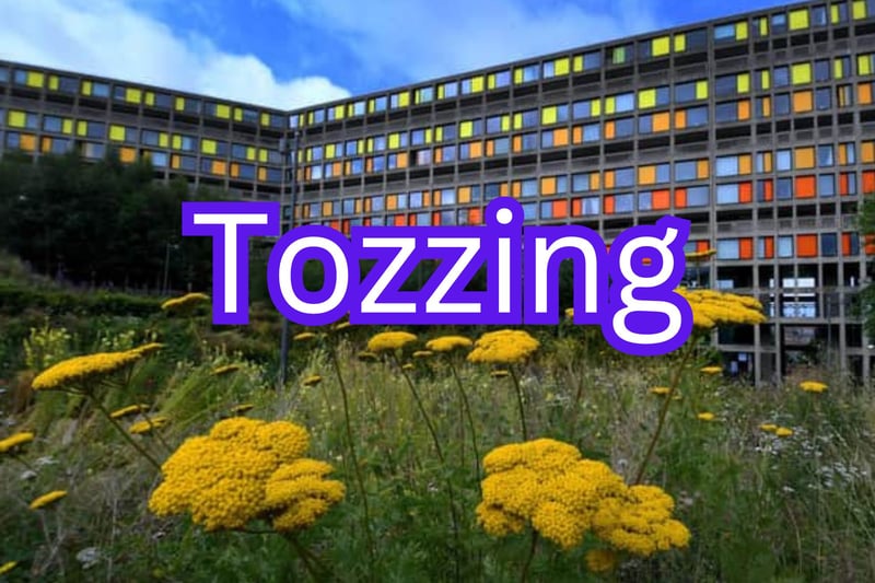 The word 'tozzing' was nominated by a number of Star readers, including Janet Allen, who explained it means 'great/brilliant'