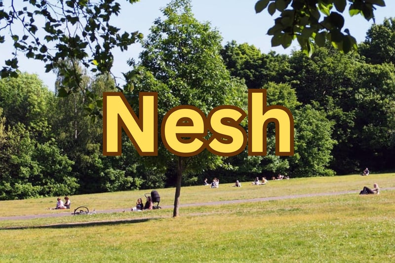 Nesh, meaning to be cold, but particularly used to refer to someone who gets cold easily. Nominated by Star reader, Jayne Pickering