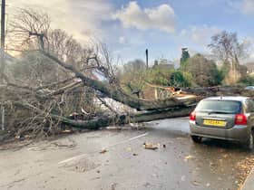 Image by Barry Johnson during Storm Pia in December 2023. Sheffield faces days of strong gales as Storm Isha passes through the country with yellow weather warnings in place until the end of Wednesday (January 24).