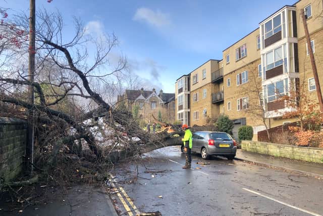 Barry Johnson, who took this photo from St Andrew's Road, says the car was visibly damaged by the fallen tree.