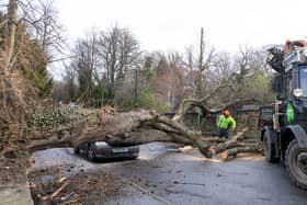 Arborists from Sheffield City council remove tree from on top of car in St Andrew's Road, Sheffield, after it was blown down during Storm Pia on December 21.