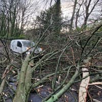 Storm Austen triggers 'yellow warning' for strong winds in Sheffield